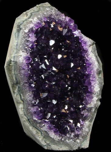 Dark Purple Amethyst Cut Base Cluster - Uruguay #36637
